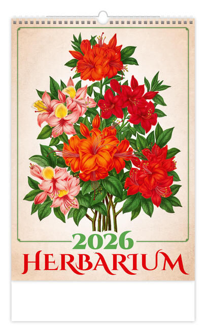 Bildkalender - Herbarium
