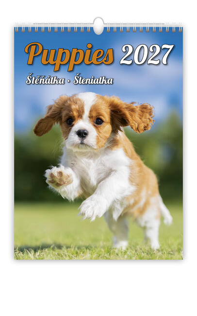 Bildkalender - Puppies