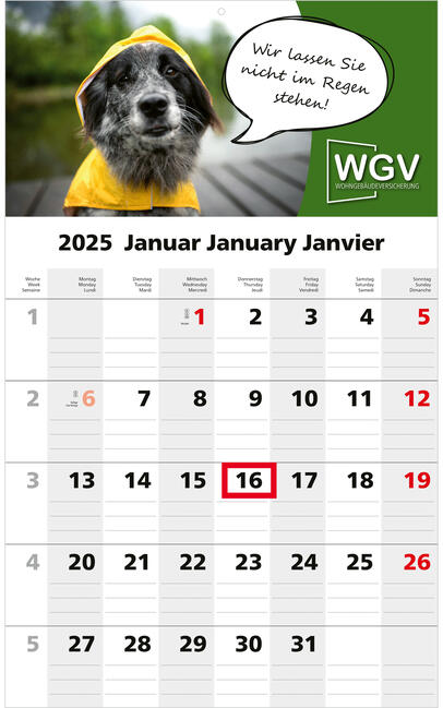 Bürokalender - Monatskalender Solo Bestseller